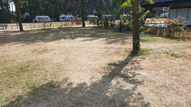 ../fotos/elsendorp_2019/2019-08-05 11.06.28.jpg